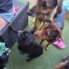 Images de profil de Florian - Blooming Pets - Petsitting et garde d'animaux à domicile