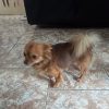 Images de profil de Florian - Blooming Pets - Petsitting et garde d'animaux à domicile