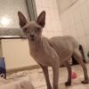 Images de profil de Florian - Blooming Pets - Petsitting et garde d'animaux à domicile