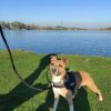Images de profil de Florine - Blooming Pets - Petsitting et garde d'animaux à domicile