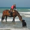Images de profil de Flora - Blooming Pets - Petsitting et garde d'animaux à domicile
