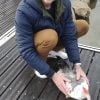 Images de profil de François - Blooming Pets - Petsitting et garde d'animaux à domicile