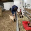 Images de profil de Frederic - Blooming Pets - Petsitting et garde d'animaux à domicile