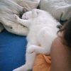 Images de profil de Gaelle - Blooming Pets - Petsitting et garde d'animaux à domicile