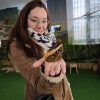 Images de profil de Gaëlle - Blooming Pets - Petsitting et garde d'animaux à domicile
