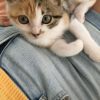 Images de profil de Garance - Blooming Pets - Petsitting et garde d'animaux à domicile