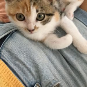 Images de profil de Garance - Blooming Pets - Petsitting et garde d'animaux à domicile
