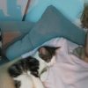 Images de profil de Geoffrey - Blooming Pets - Petsitting et garde d'animaux à domicile
