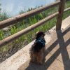 Images de profil de Jennifer - Blooming Pets - Petsitting et garde d'animaux à domicile