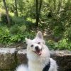 Images de profil de Jennifer - Blooming Pets - Petsitting et garde d'animaux à domicile
