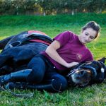 Dinamico Mon Cheval  PRE Hongre - Garde d'animaux à domicile