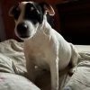 Images de profil de Isabelle - Blooming Pets - Petsitting et garde d'animaux à domicile