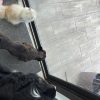 Images de profil de Ilona - Blooming Pets - Petsitting et garde d'animaux à domicile