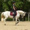 Images de profil de Ilona - Blooming Pets - Petsitting et garde d'animaux à domicile
