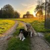 Images de profil de Ilona - Blooming Pets - Petsitting et garde d'animaux à domicile