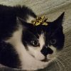 Images de profil de Ines - Blooming Pets - Petsitting et garde d'animaux à domicile