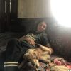 Images de profil de Iris - Blooming Pets - Petsitting et garde d'animaux à domicile
