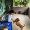 Images de profil de Iris - Blooming Pets - Petsitting et garde d'animaux à domicile