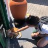 Images de profil de Iris - Blooming Pets - Petsitting et garde d'animaux à domicile