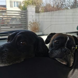 Images de profil de Jade - Blooming Pets - Petsitting et garde d'animaux à domicile