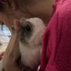 Images de profil de Jehanne - Blooming Pets - Petsitting et garde d'animaux à domicile