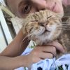 Images de profil de Jennyfer - Blooming Pets - Petsitting et garde d'animaux à domicile
