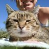Images de profil de Jennyfer - Blooming Pets - Petsitting et garde d'animaux à domicile