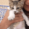 Images de profil de Lina - Blooming Pets - Petsitting et garde d'animaux à domicile