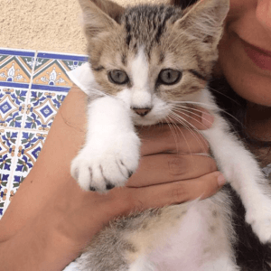 Images de profil de Lina - Blooming Pets - Petsitting et garde d'animaux à domicile