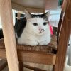 Images de profil de Joachim - Blooming Pets - Petsitting et garde d'animaux à domicile
