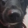 Images de profil de Jory - Blooming Pets - Petsitting et garde d'animaux à domicile