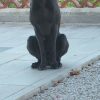 Images de profil de Joyce - Blooming Pets - Petsitting et garde d'animaux à domicile