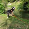 Images de profil de Justine - Blooming Pets - Petsitting et garde d'animaux à domicile