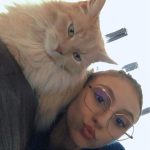 Cookie Mon Chat  Croisé Femelle - Garde d'animaux à domicile