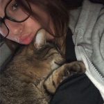 Souris Mon Chat  Croisé Femelle - Garde d'animaux à domicile