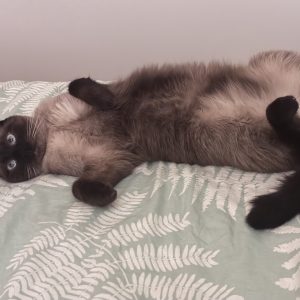 Images de profil de Juliette - Blooming Pets - Petsitting et garde d'animaux Ă domicile