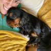 Images de profil de Sadel - Blooming Pets - Petsitting et garde d'animaux à domicile
