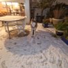 Images de profil de julia - Blooming Pets - Petsitting et garde d'animaux à domicile