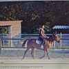 Images de profil de julia - Blooming Pets - Petsitting et garde d'animaux à domicile