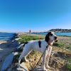 Images de profil de Julie - Blooming Pets - Petsitting et garde d'animaux à domicile