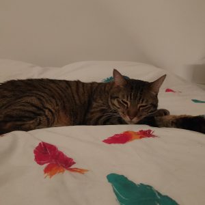 Images de profil de Juliette - Blooming Pets - Petsitting et garde d'animaux à domicile