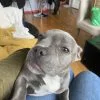 Images de profil de Juliette - Blooming Pets - Petsitting et garde d'animaux à domicile