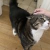 Images de profil de Juliette - Blooming Pets - Petsitting et garde d'animaux à domicile