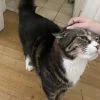 Images de profil de Juliette - Blooming Pets - Petsitting et garde d'animaux à domicile