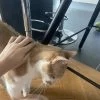 Images de profil de Juliette - Blooming Pets - Petsitting et garde d'animaux à domicile
