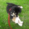 Images de profil de Justine - Blooming Pets - Petsitting et garde d'animaux à domicile