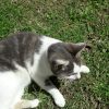 Images de profil de Justine - Blooming Pets - Petsitting et garde d'animaux à domicile