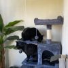 Images de profil de JADE - Blooming Pets - Petsitting et garde d'animaux à domicile