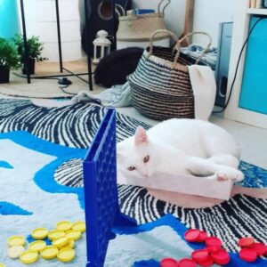 Images de profil de Carine - Blooming Pets - Petsitting et garde d'animaux Ă domicile