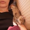 Images de profil de Cassandra - Blooming Pets - Petsitting et garde d'animaux à domicile